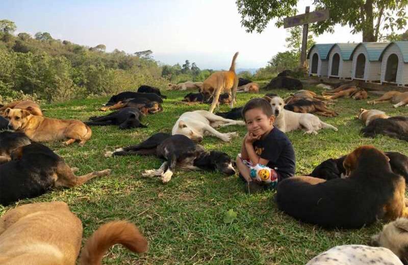 Es por ello que cada miembro de cuatro pasas que entra al albergue es rebautizado con el nombre de una raza original, que depende de sus características físicas. 