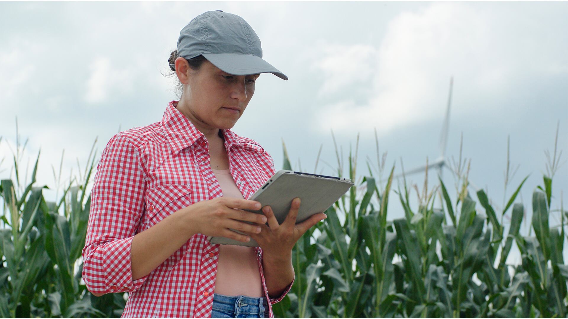 Especial Bancos, Nuevos Jugadores