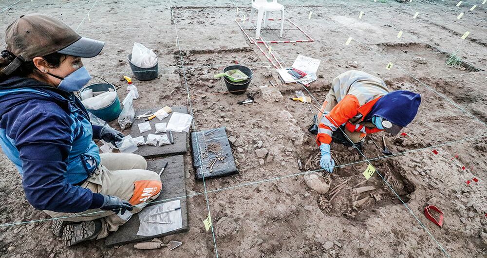   Cada pieza debe ser extraída con sumo cuidado y paciencia.