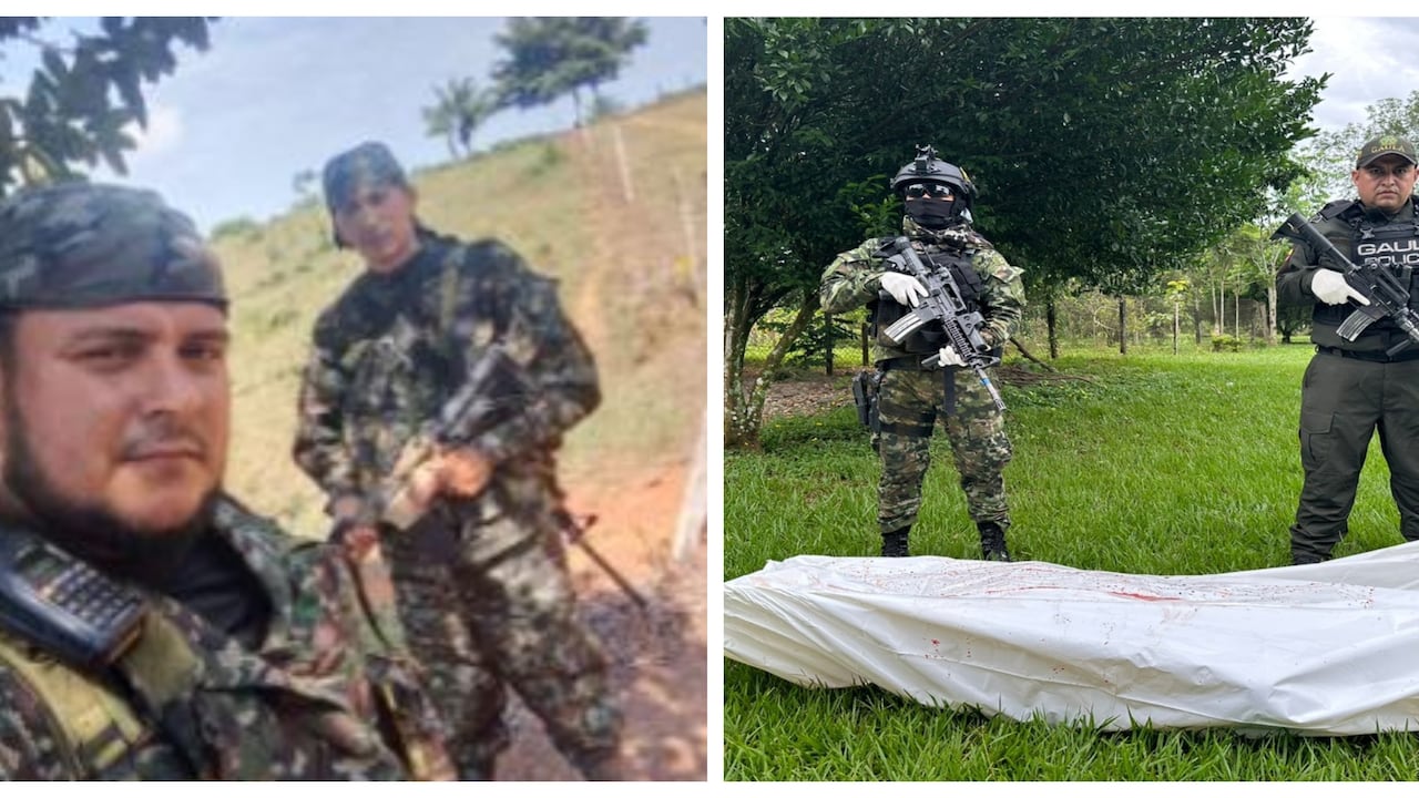 Alias Mogosín, de la Segunda Marquetalia, abatido en Puerto Lleras, Meta.