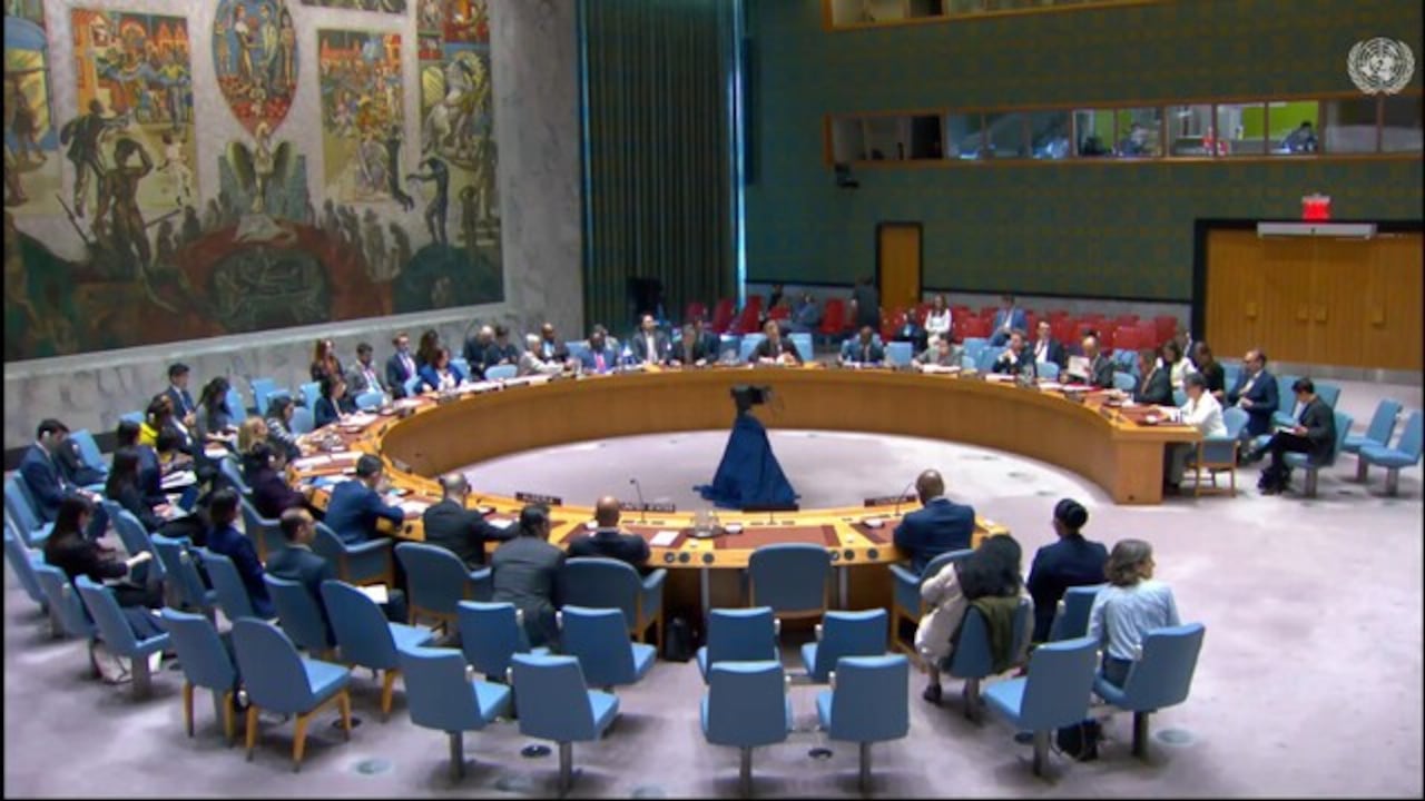 Consejo de Seguridad de la ONU.