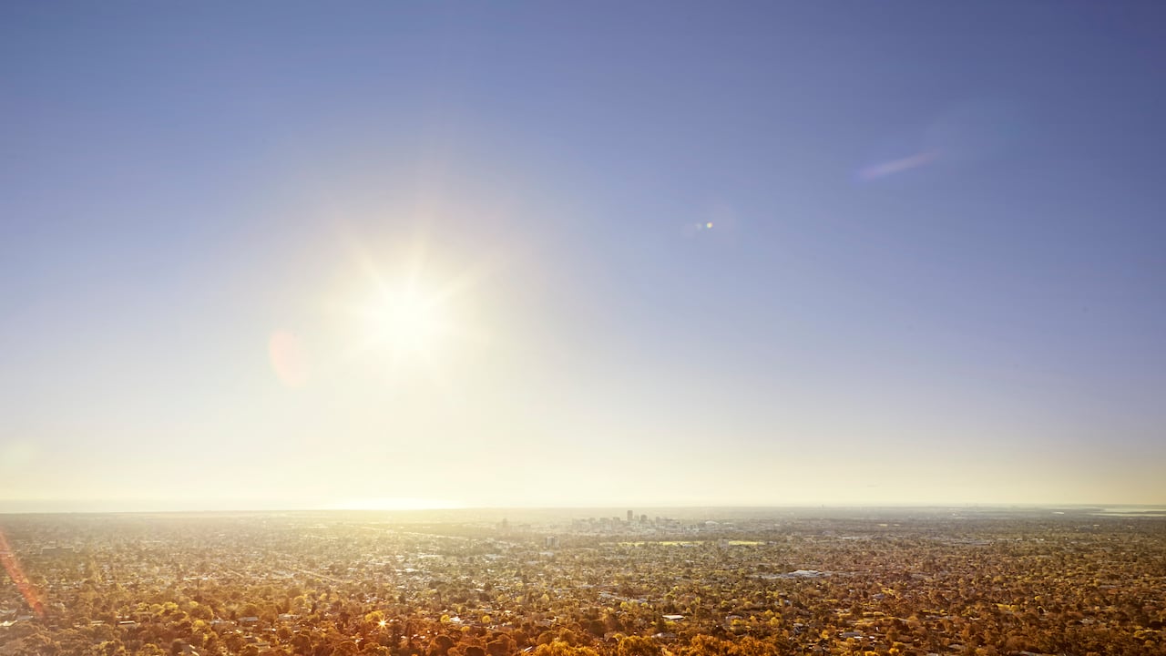 Las olas de calor son cada vez más constantes en el planeta.