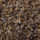 Alcaldía de Tenjo Cundinamarca promueve una campaña para cuidar a las abejas