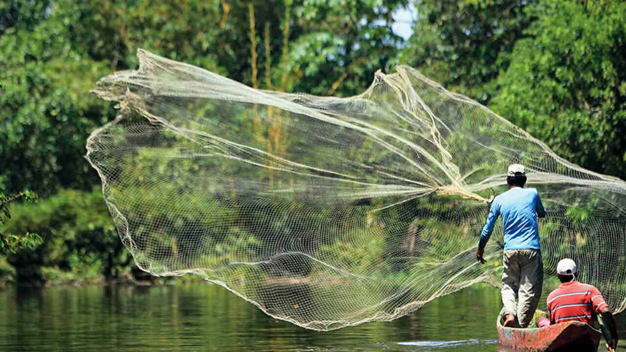 Ingrese a www.ForosSemana.com para inscribirse a este foro.
