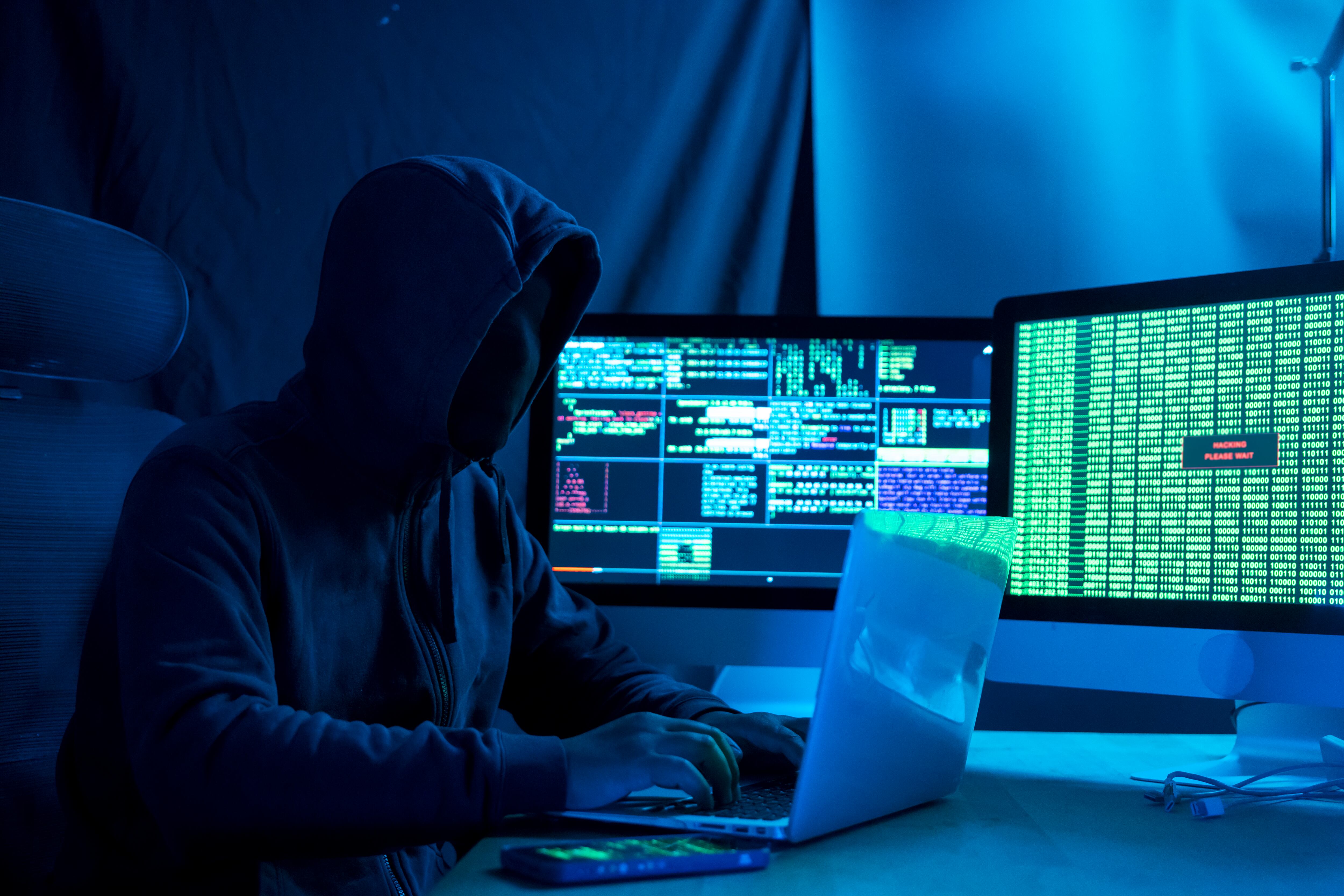 Los expertos destacan que proteger la identidad digital y las finanzas es fundamental.