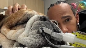 Lewis Hamilton despidió a su perro Roscoe.
