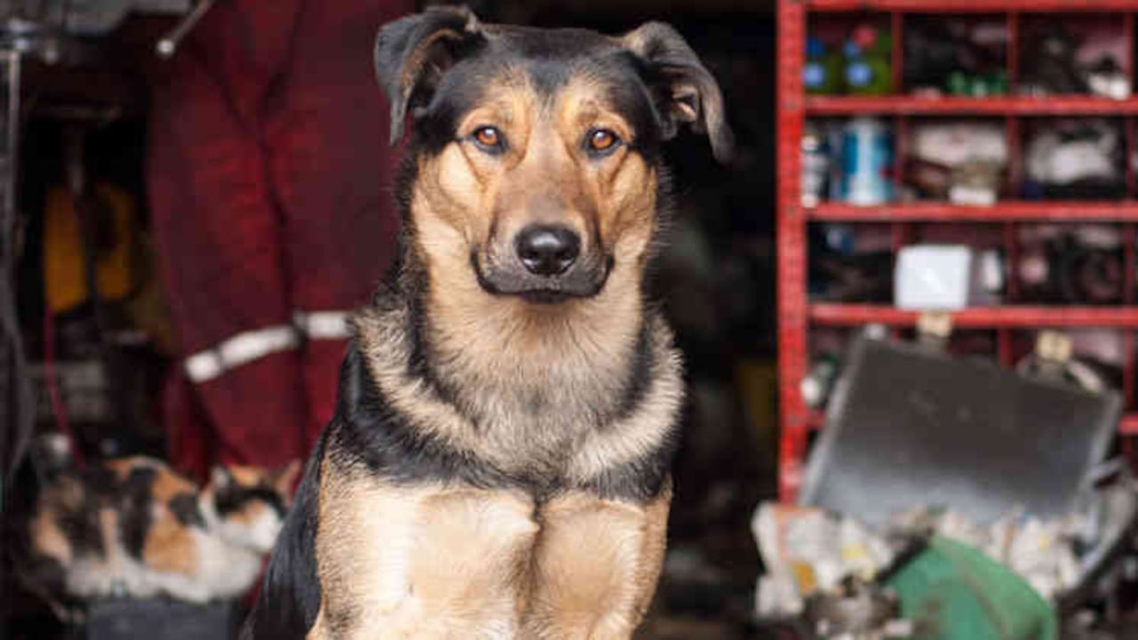 Katherine Arenas Hurtado