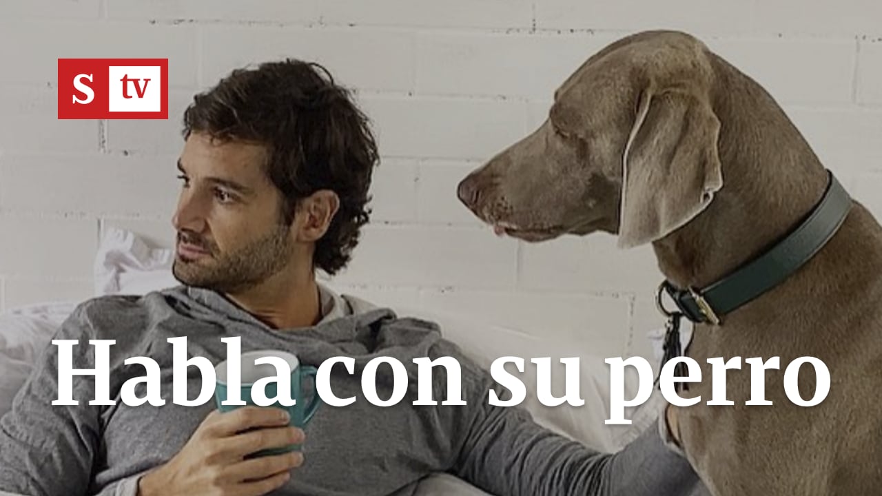 La historia del hombre que habla con su perro