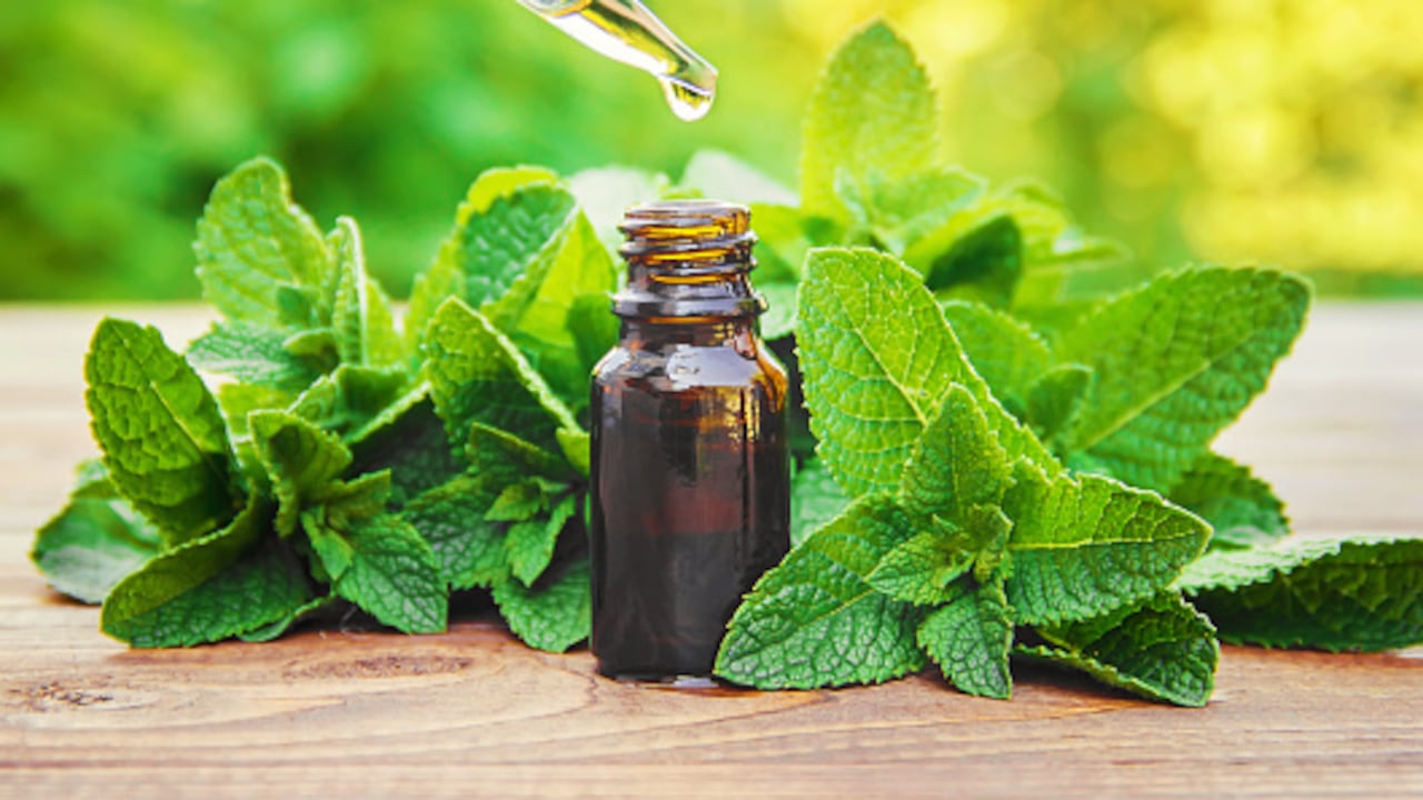 La menta tiene efectos antiespasmódicos.