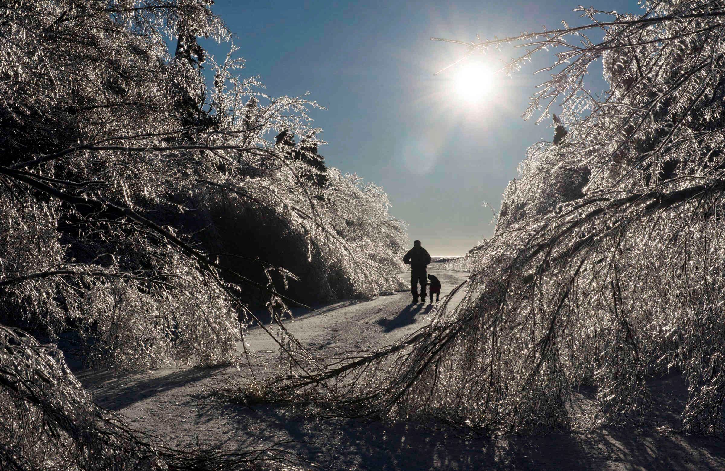 Prudente Mazerolle camina con su perro, Blackie, en la carretera principal a su casa en Pointe Sapin, Nuevo Brunswick, el jueves, 26 de enero de 2017. Más de 80,000 clientes todavía estaban sin electricidad en muchas partes de New Brunswick. (Diane Doiron / The Canadian Press vía AP)