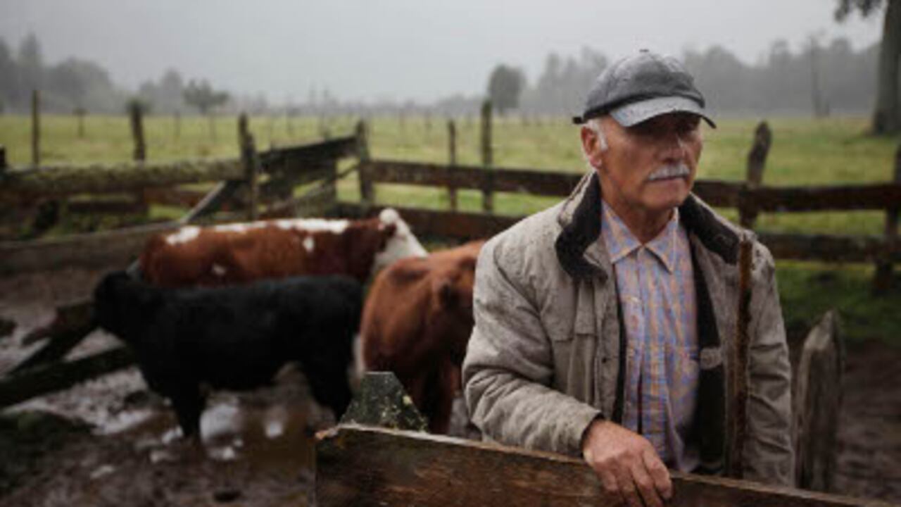 Como en otros países de América Latina, en Chile la desigualdad social es un grave problema.