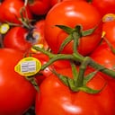 Los tomates están compuestos por más de 80% de agua