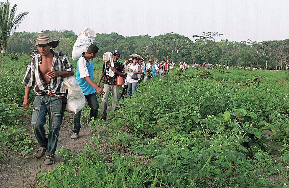 Hacienda Las Pavas, retorno de algunos de los campesinos desplazados, diciembre 5 de 2011. (Foto: archivo particular)