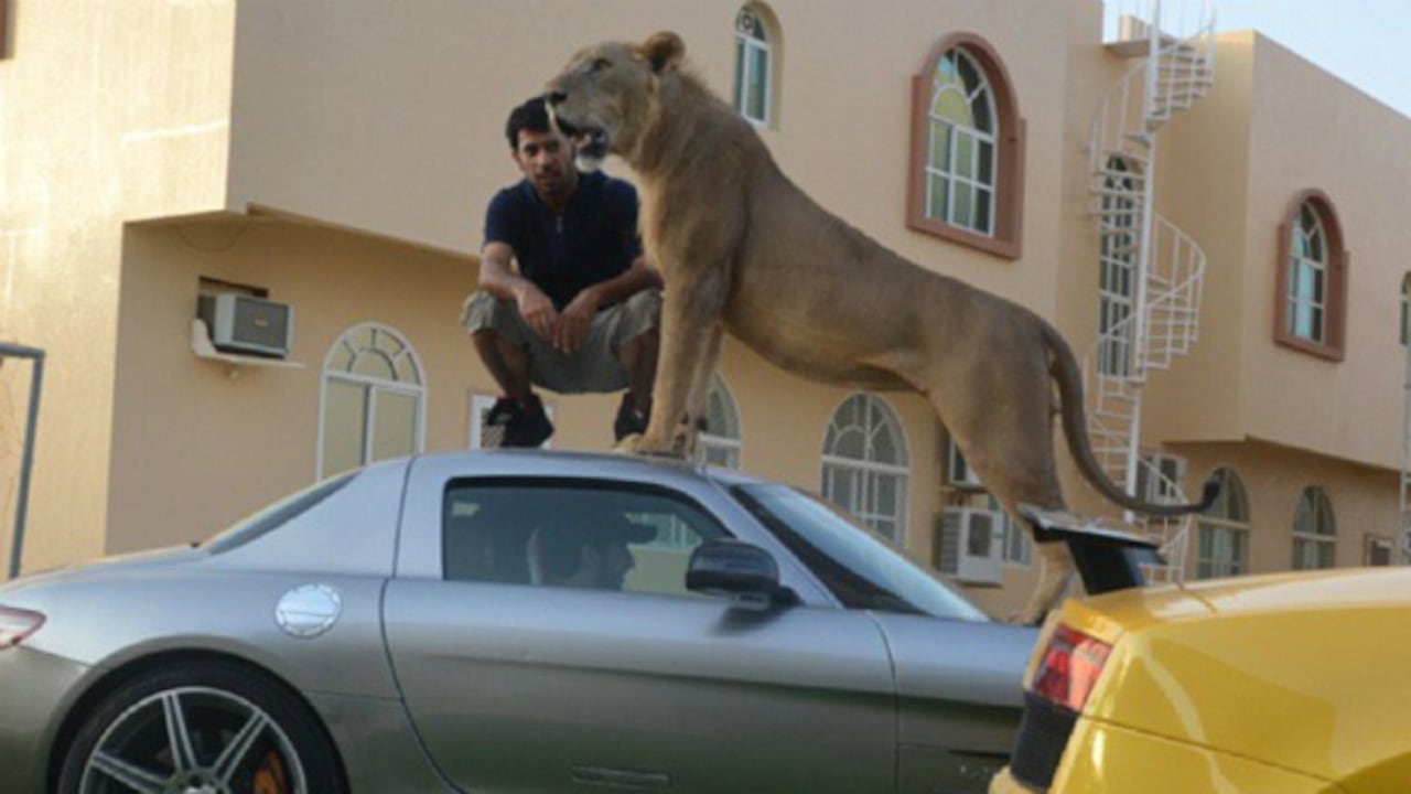 Foto: Instagram/alfahaad314.