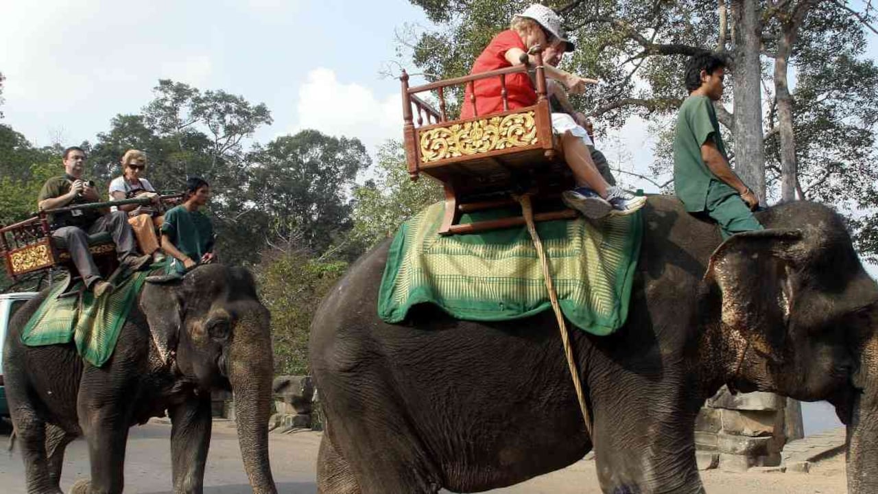 Paseo de turistas en elefantes en Camboya. Foto: TANG CHHIN SOTHY / AFP