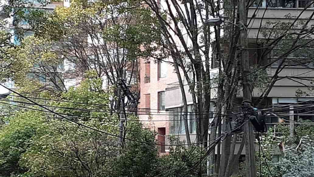 Cortes de luz en Bogotá - Foto: Enel