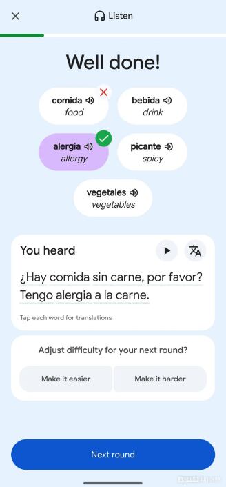 La hegemonía de Duolingo enfrenta un nuevo desafío: Google Translate experimenta con un modo para aprender idiomas.