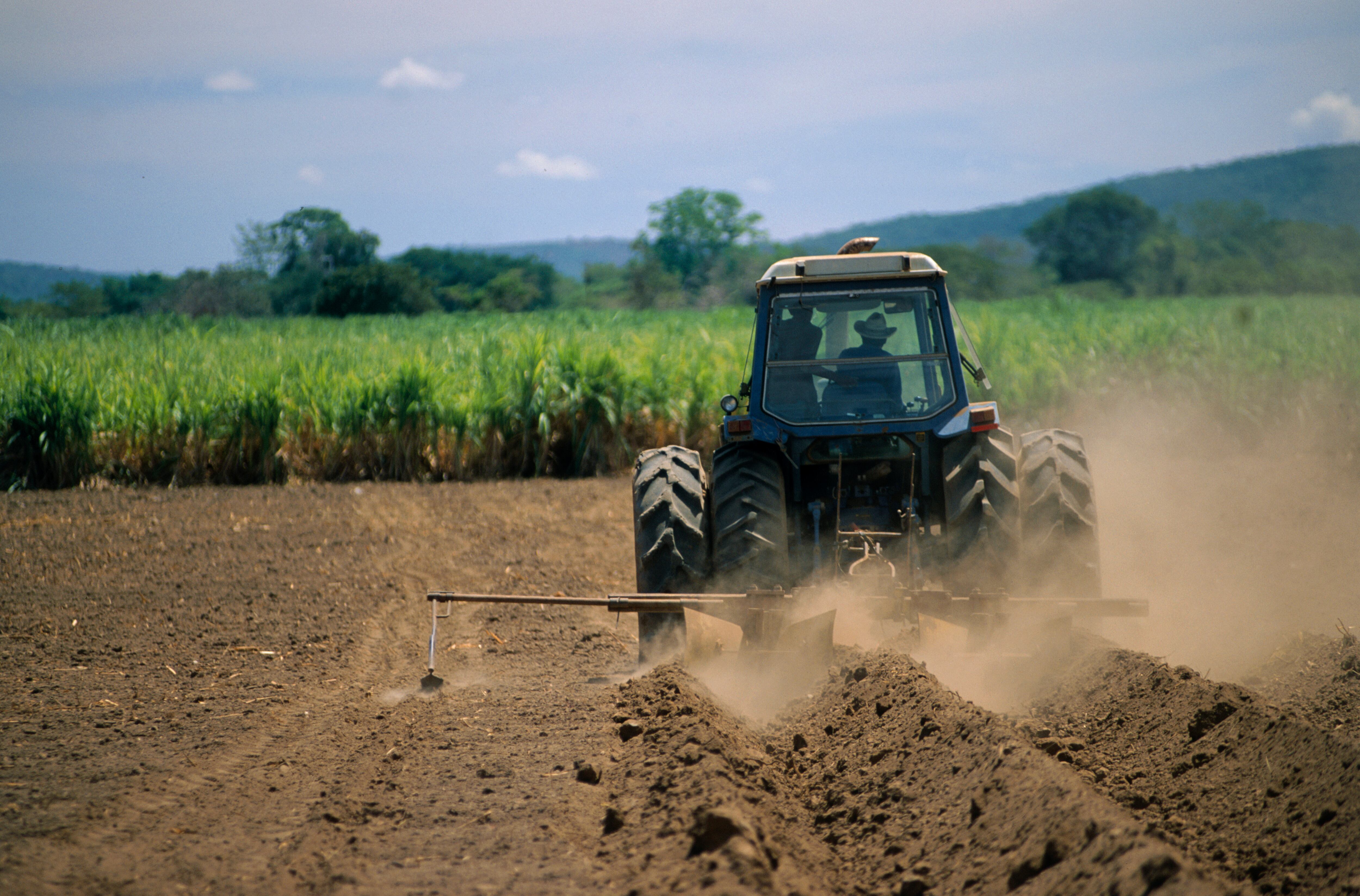 Campo y agroindustria (Getty)