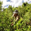 Los productores creen que la medida es una desventaja para ellos porque no compiten de manera justa con el precio de los productos importados