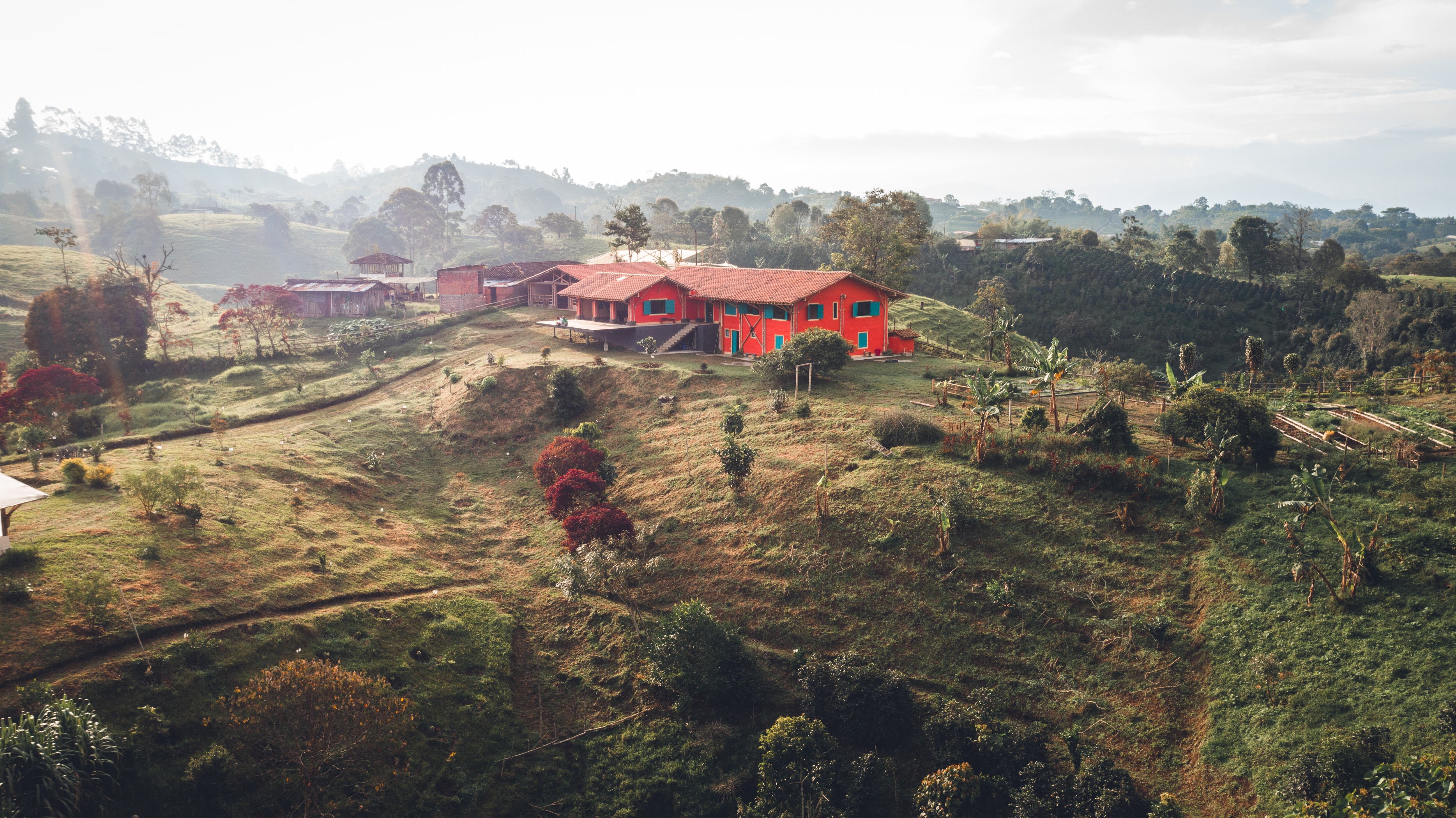 Productos como la ruda, el café y el limón mandarino se cosechan en la finca de Alquímico en Filandia, Quindío.