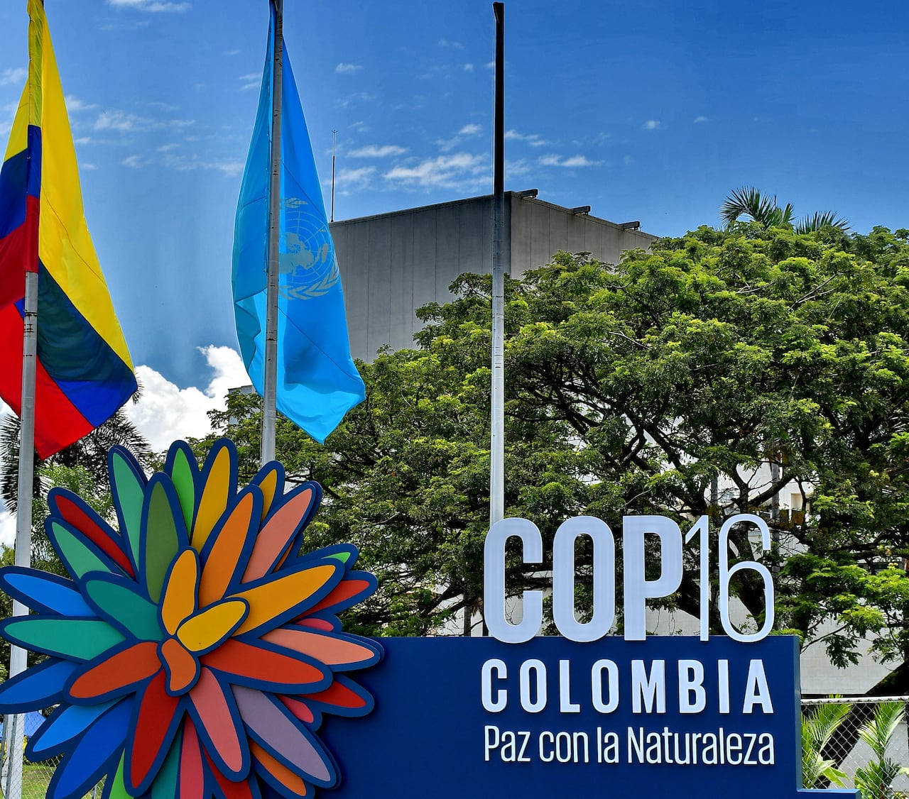 ONU izó su bandera y el Centro de Eventos Valle del Pacífico se convirtió en zona de jurisdicción internacional para albergar la COP16.
En presencia de las principales autoridades del Valle del Cauca y de las Naciones Unidas, se izó la bandera de la ONU en el Centro de Eventos Valle del Pacífico, marcando así la oficialización de la llegada de la COP16 a la ciudad. Fotos Raúl Palacios/ El Pais.