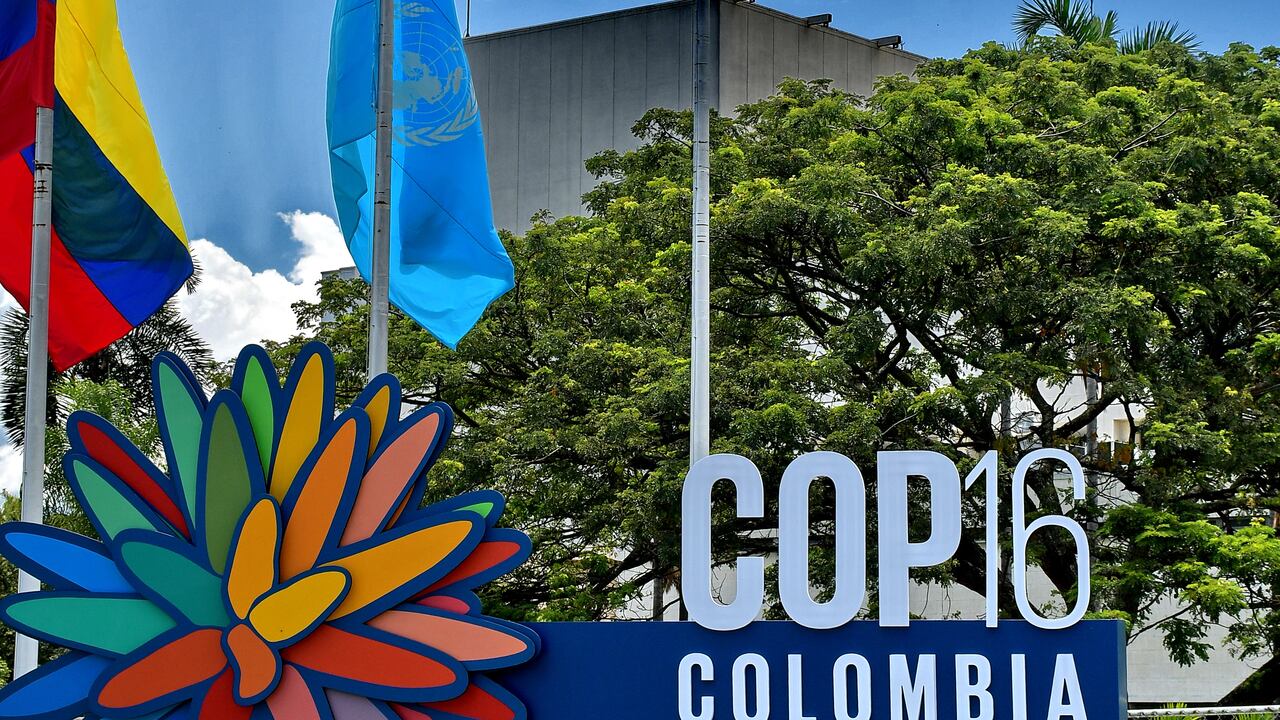 ONU izó su bandera y el Centro de Eventos Valle del Pacífico se convirtió en zona de jurisdicción internacional para albergar la COP16.
En presencia de las principales autoridades del Valle del Cauca y de las Naciones Unidas, se izó la bandera de la ONU en el Centro de Eventos Valle del Pacífico, marcando así la oficialización de la llegada de la COP16 a la ciudad. Fotos Raúl Palacios/ El Pais.
