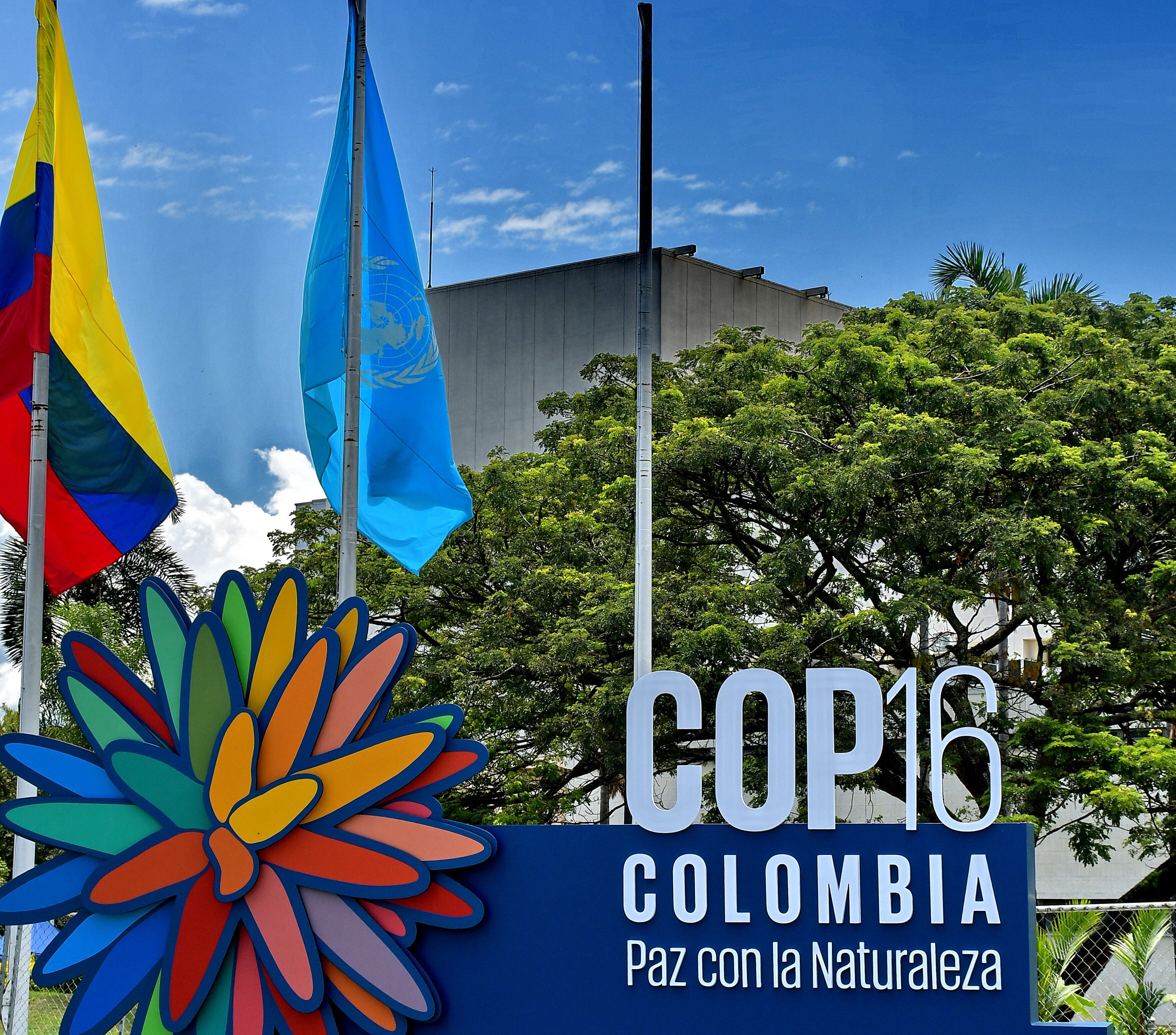 ONU izó su bandera y el Centro de Eventos Valle del Pacífico se convirtió en zona de jurisdicción internacional para albergar la COP16.
En presencia de las principales autoridades del Valle del Cauca y de las Naciones Unidas, se izó la bandera de la ONU en el Centro de Eventos Valle del Pacífico, marcando así la oficialización de la llegada de la COP16 a la ciudad. Fotos Raúl Palacios/ El Pais.