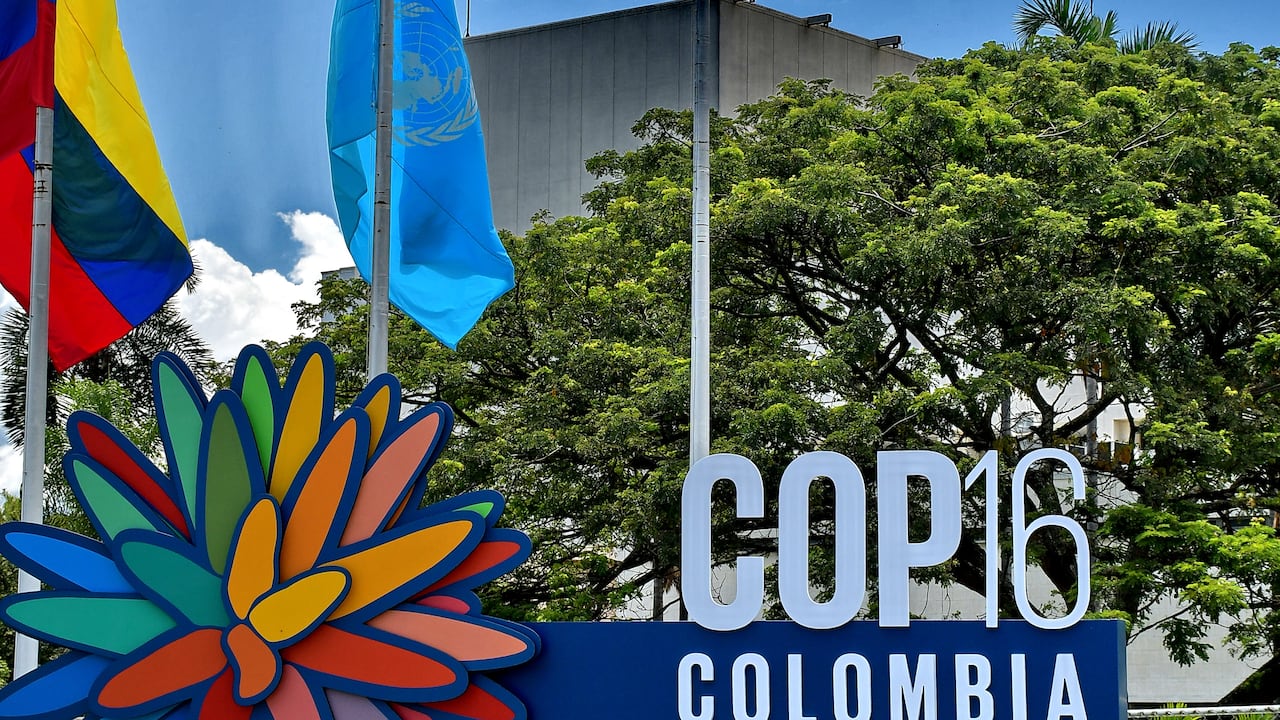 COP16