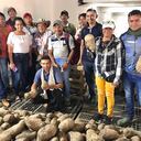 25 familias cultivaron más de 20 toneladas de ñame en El Carmen de Bolívar
