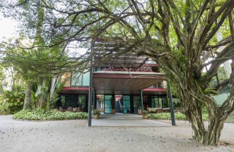 Cara arrendada a Apple. Foto: Cortesía Rio Exclusive