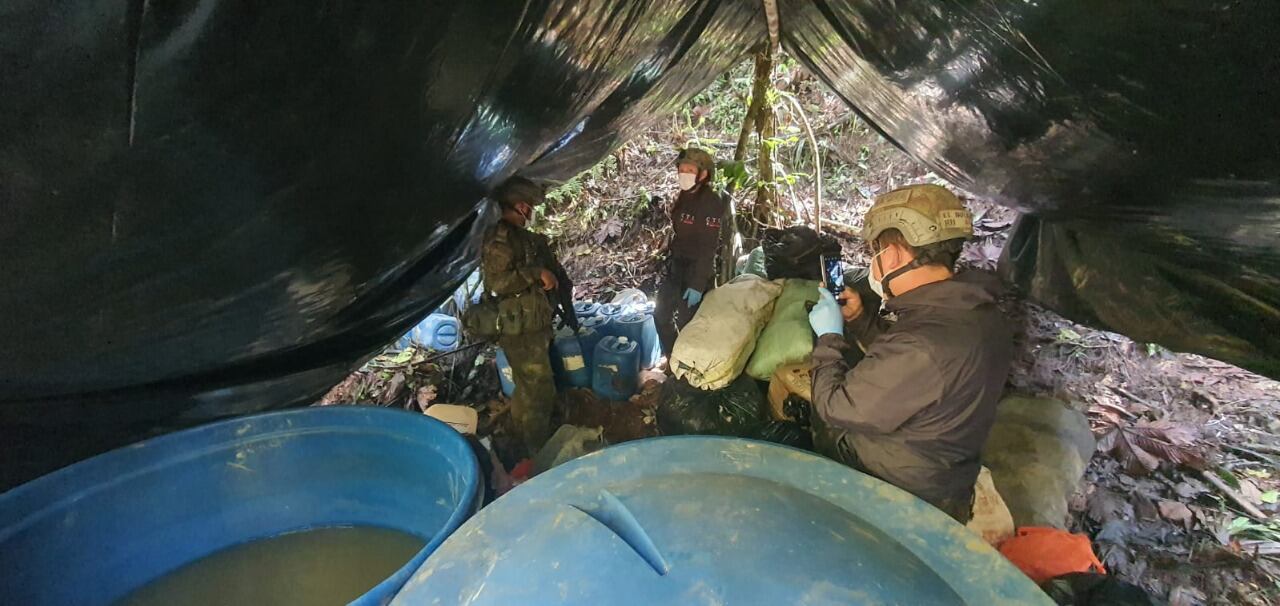 Incautación de coca en Nariño