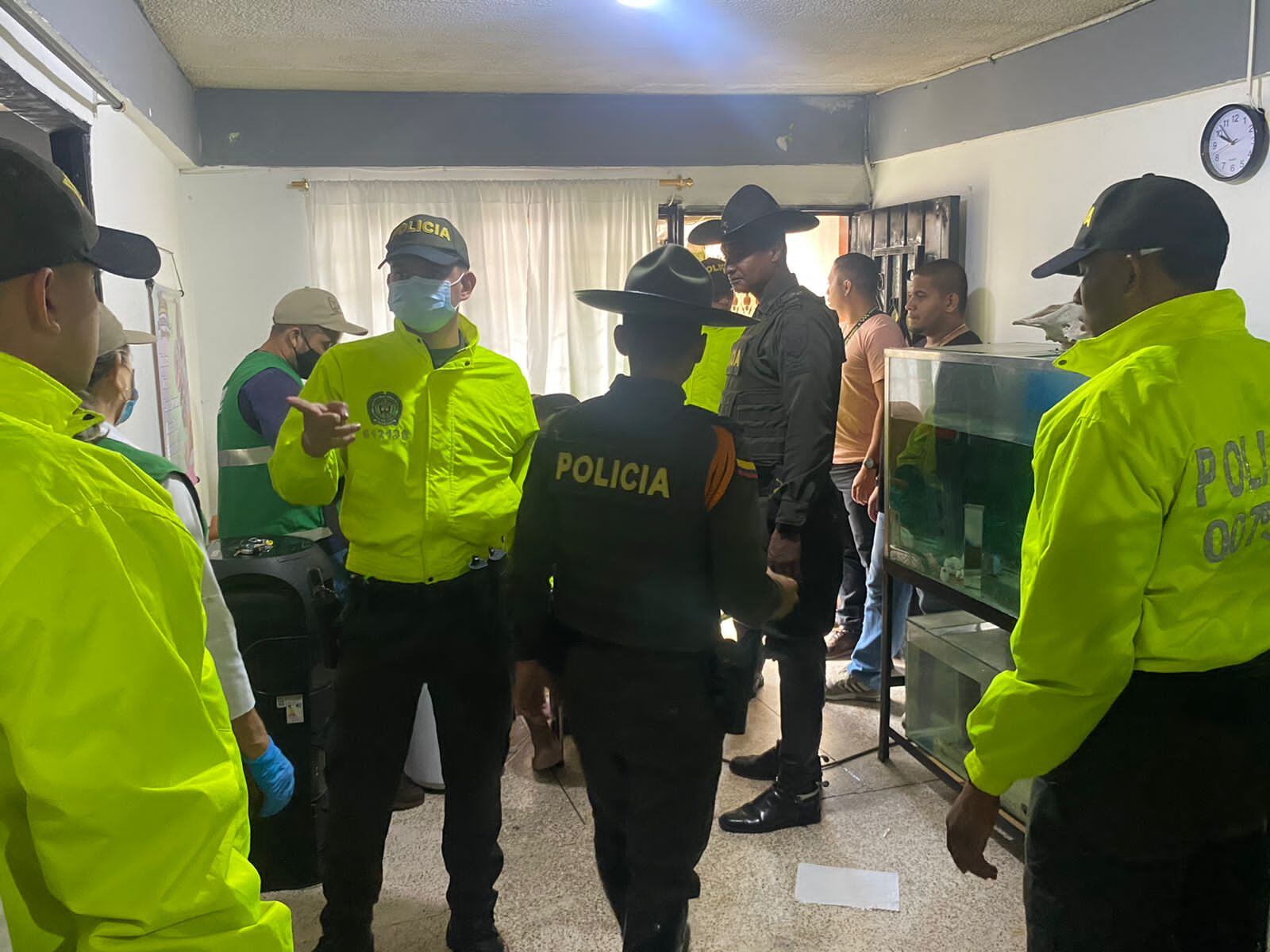 Los animales fueron encontrados en los viviendas de Cali.