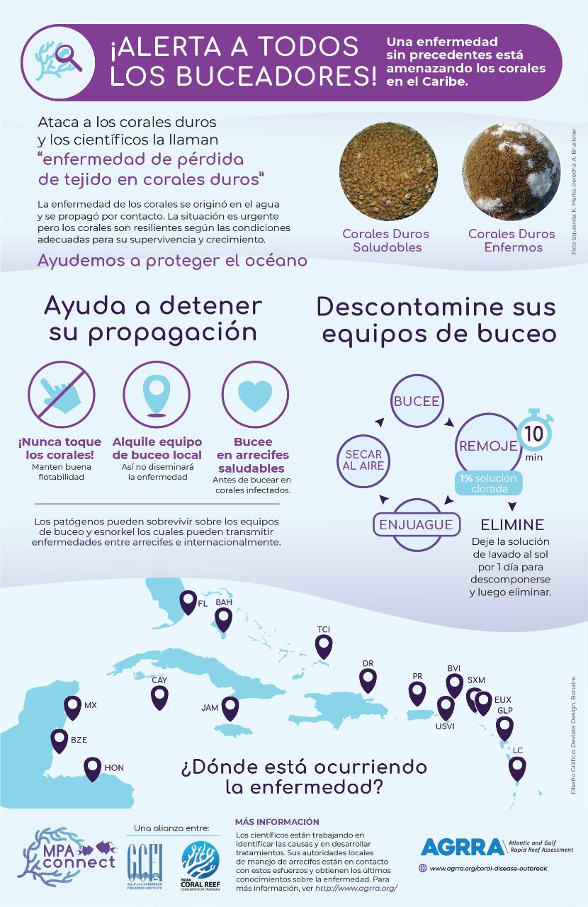 Alerta y recomendaciones a buceadores en las cercanías del Archipiélago de San Andrés, Providencia y Santa Catalina por enfermedad en la barrera de coral.