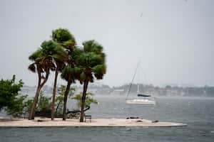 SARASOTA, FLORIDA - OCTOBER 9: Wind and rain batter the area as Hurricane Milton approaches on October 9, 2024 in Sarasota, Florida. Milton, which comes just after the recent catastrophic hurricane Helene, will hit Florida's central Gulf Coast and is expected to make landfall with destructive winds and flooding. (Photo by Sean Rayford/Getty Images)