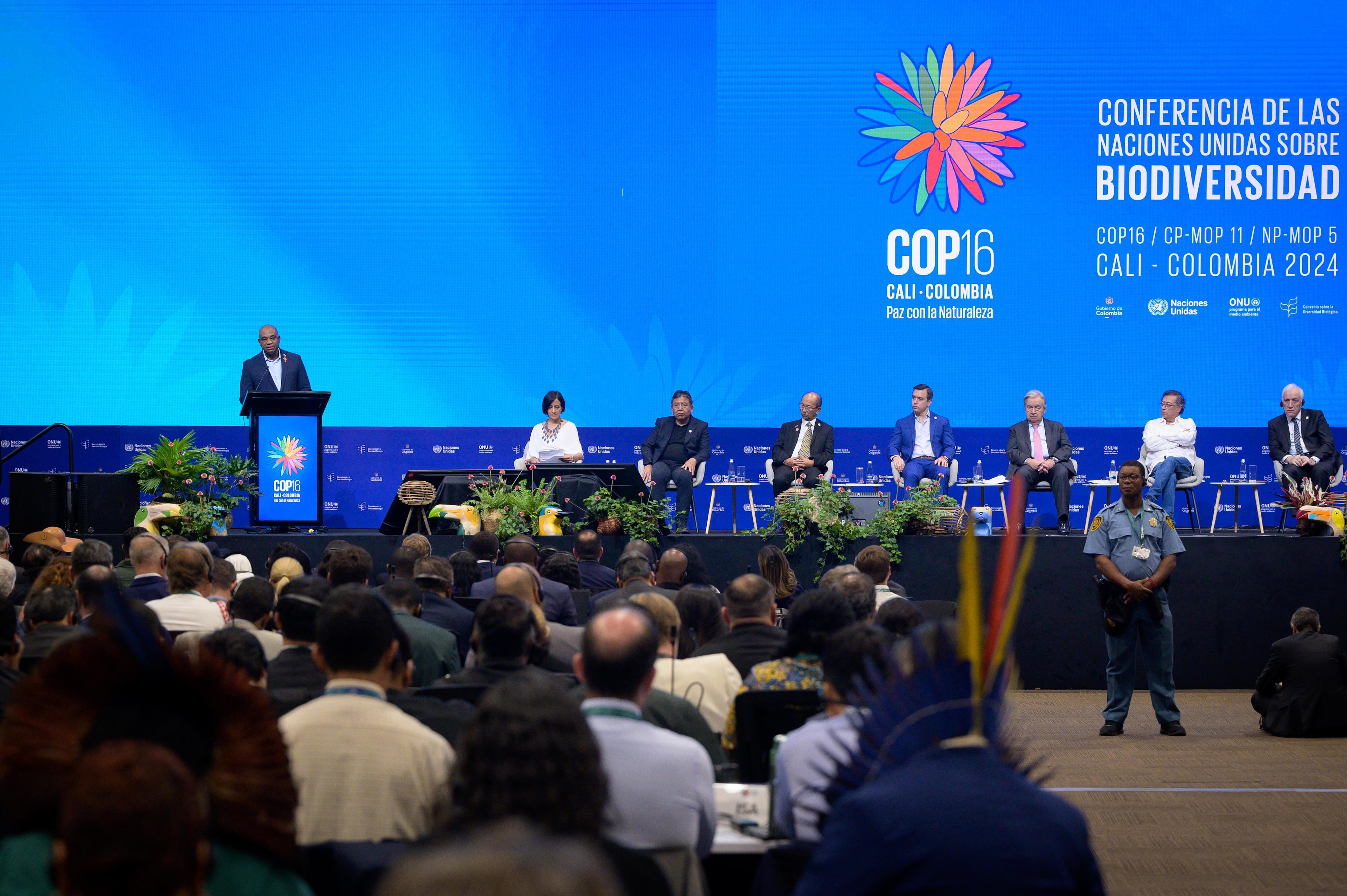Canciller Luis Gilberto Murillo en la COP16