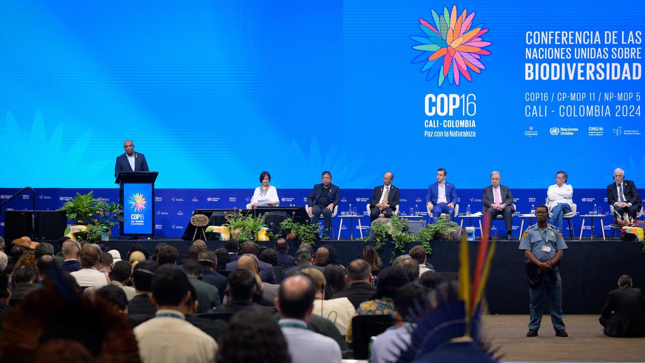 Canciller Luis Gilberto Murillo en la COP16