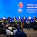 Canciller Luis Gilberto Murillo en la COP16