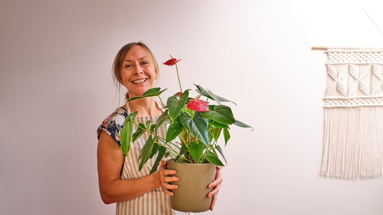 Explore este fascinante método y dé vida a su propio jardín interior.