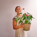 Los amantes de la jardinería ahora pueden expandir su colección de plantas de interior con un truco infalible para reproducir anturios en casa.