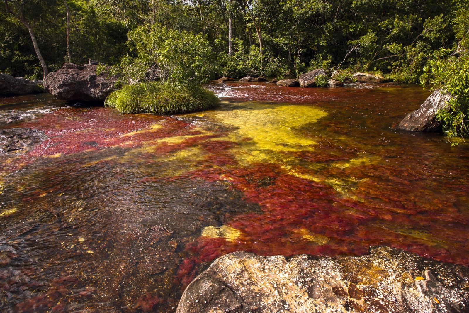  Estados Unidos fue el país con el mayor flujo de visitantes a Colombia.