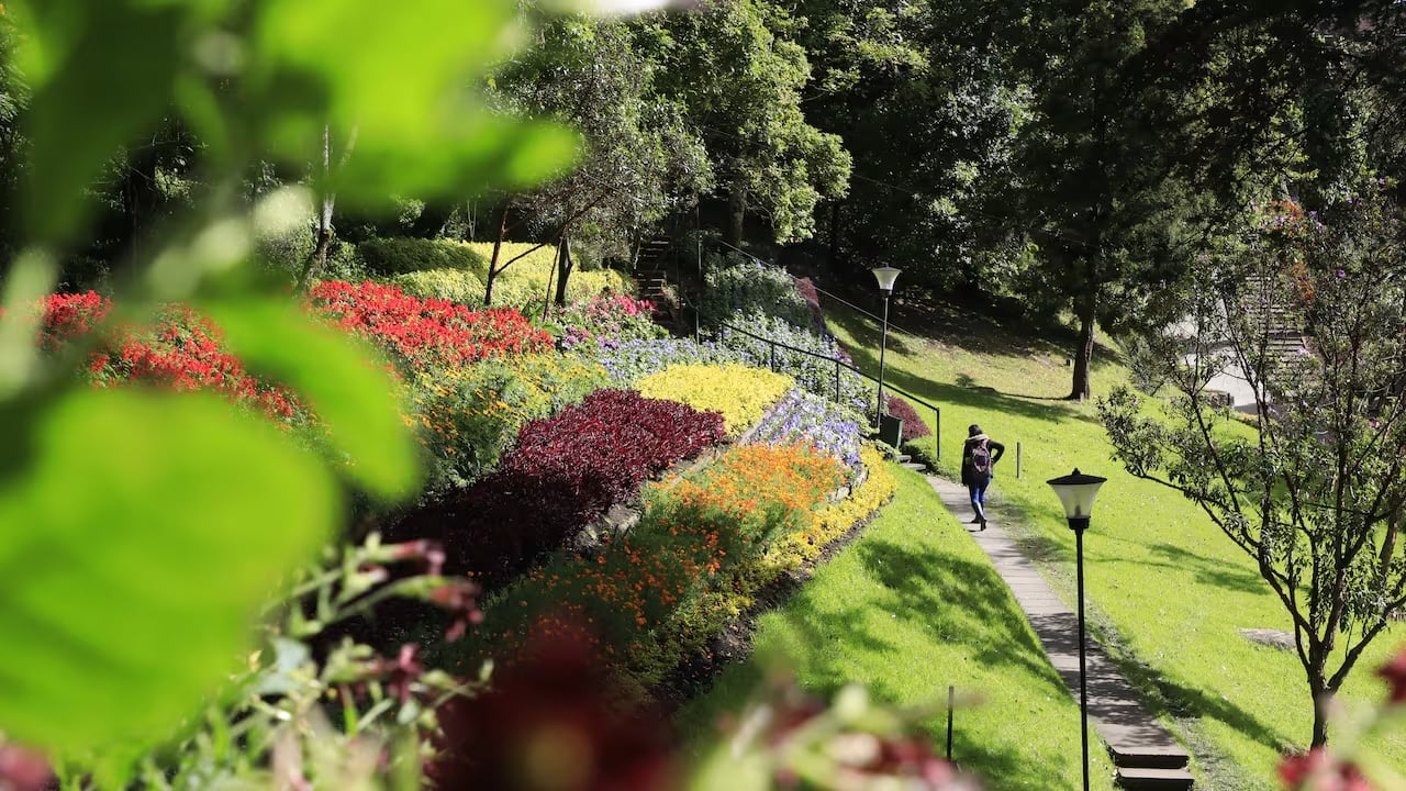 La Universidad Externado de Colombia, ubicada en el entorno de La Candelaria, ha transformado su espacio en un corredor ambiental.