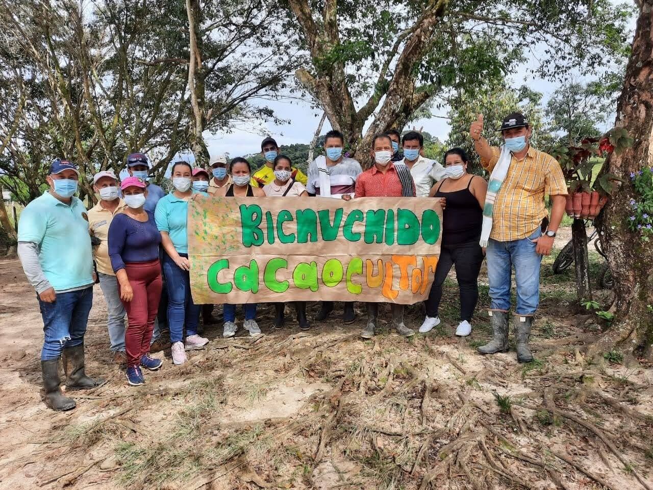 Cultivos de cacao en Caquetá.