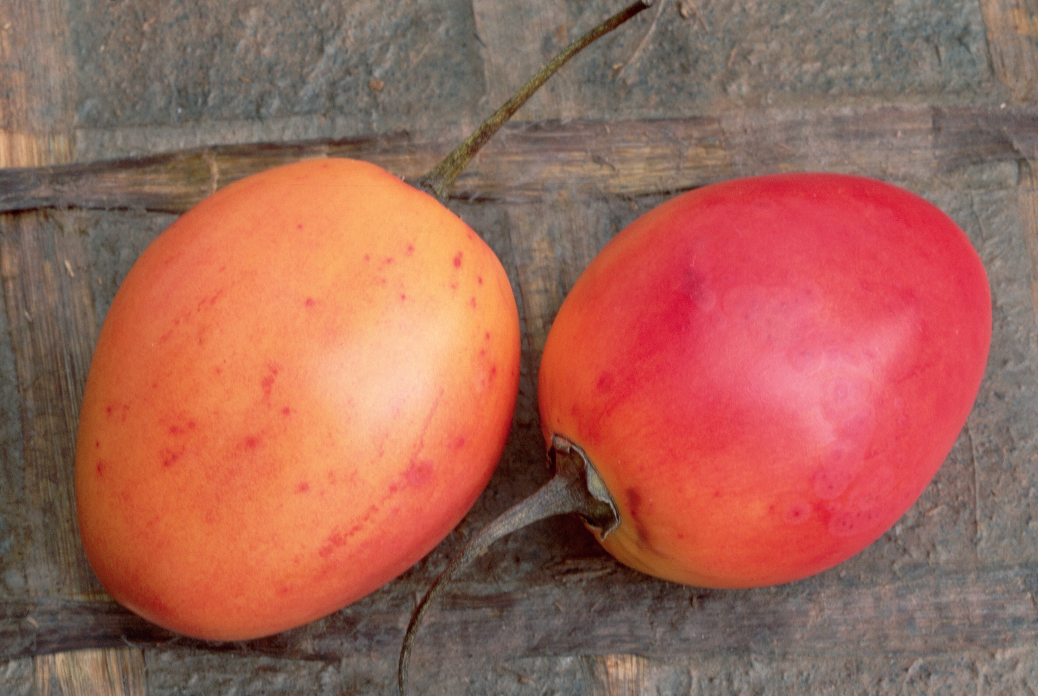 Esta fruta también es conocida como tamarillo o tomate francés.