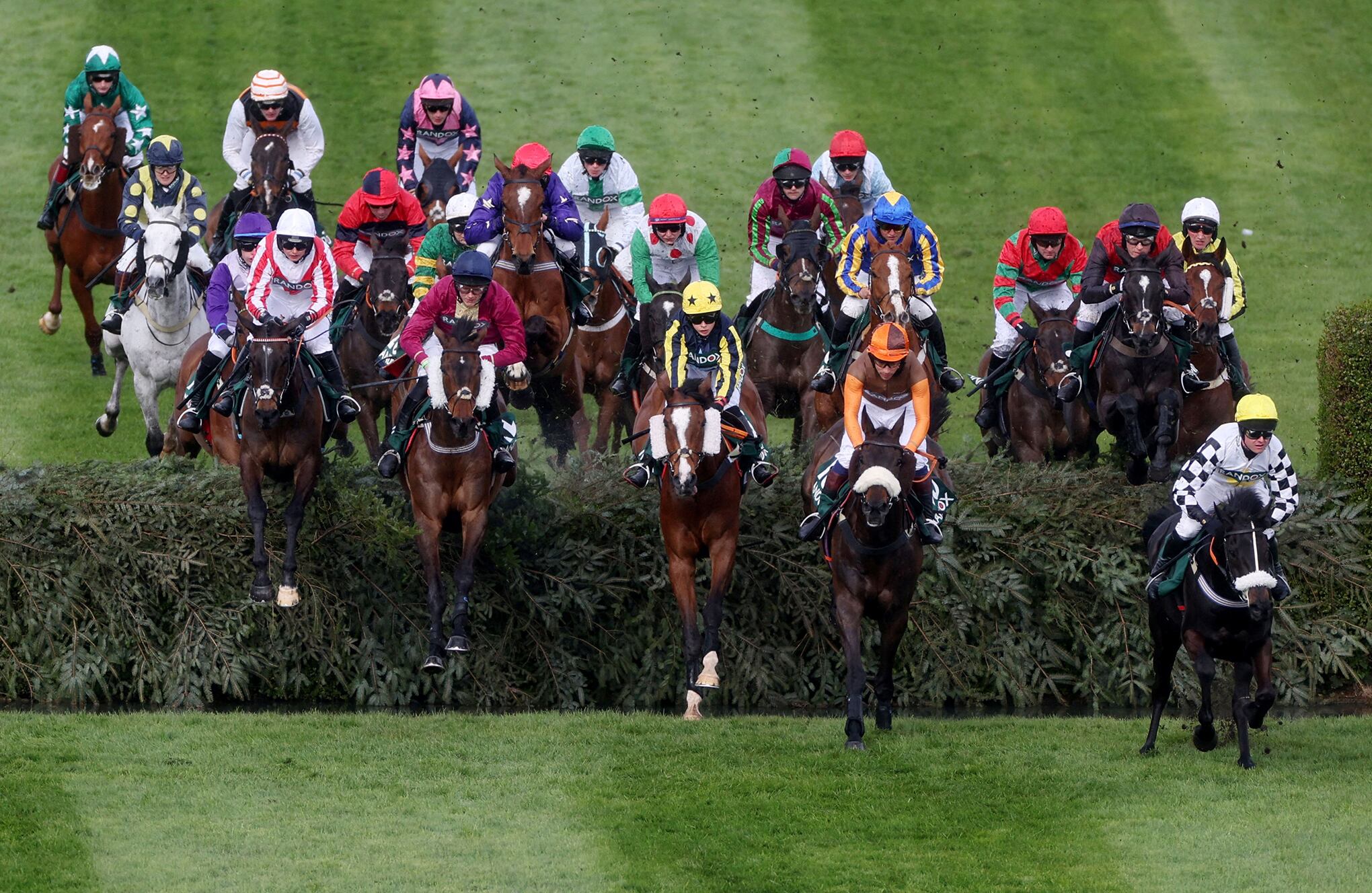 Fotos de la semana 8 abril