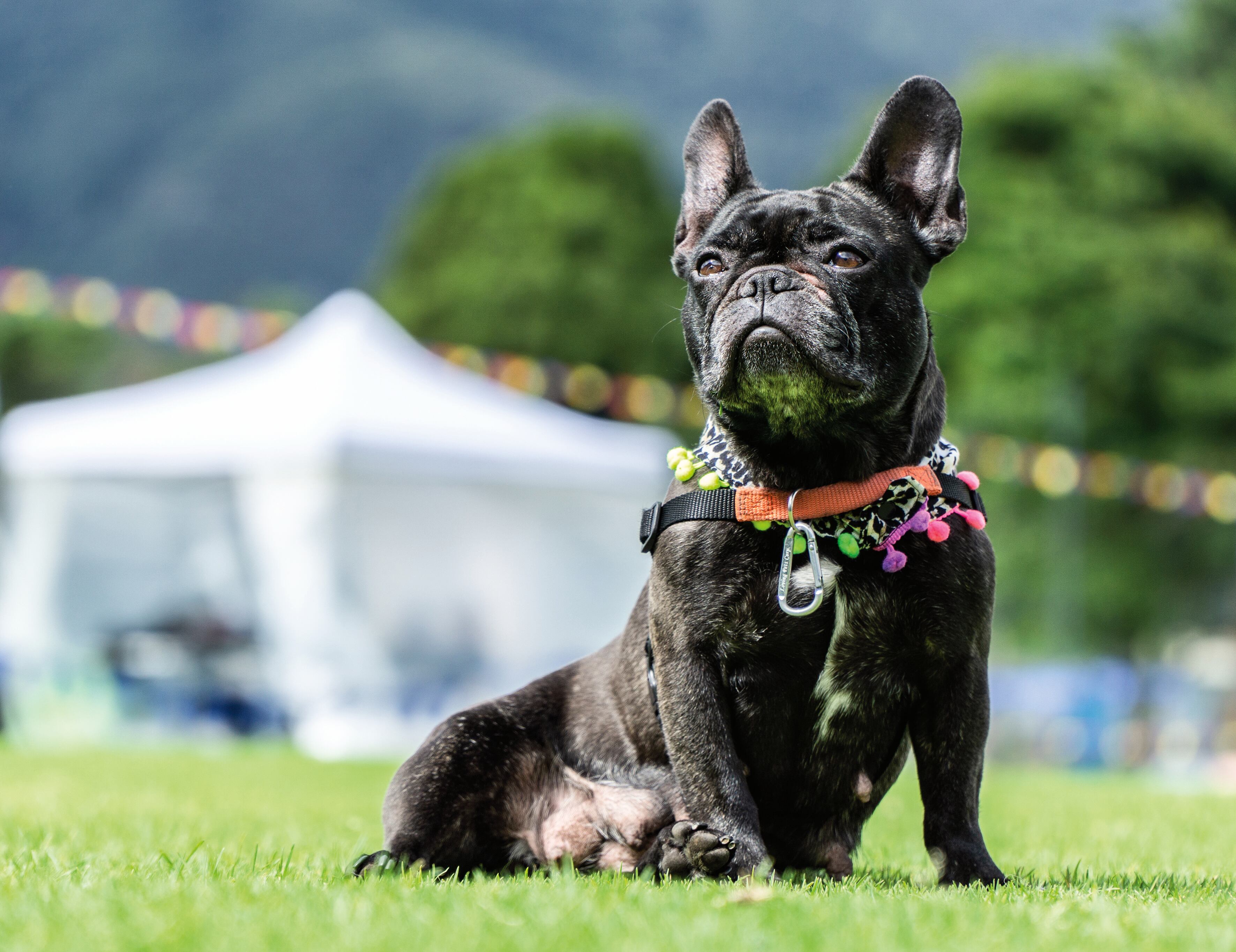 Héroes en tiempos difíciles
