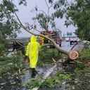 En esta foto proporcionada por el Negociado del Departamento de Bomberos de Puerto Rico el 18 de septiembre de 2022, los bomberos trabajan para retirar un árbol caído de la carretera en Vega Baja, Puerto Rico. - El huracán Fiona se precipitó hacia la costa de Puerto Rico el domingo, dejando sin electricidad y amenazando con causar "inundaciones catastróficas" en el territorio de la isla estadounidense. (Foto del Negociado del Departamento de Bomberos de Puerto Rico / AFP) / RESTRINGIDO A USO EDITORIAL - CRÉDITO OBLIGATORIO "FOTO AFP / Negociado del Departamento de Bomberos de Puerto Rico" - SIN MARKETING - SIN CAMPAÑAS PUBLICITARIAS - DISTRIBUIDO COMO SERVICIO A CLIENTES