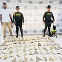 Aletas halladas en Tumaco venían desde La Guajira