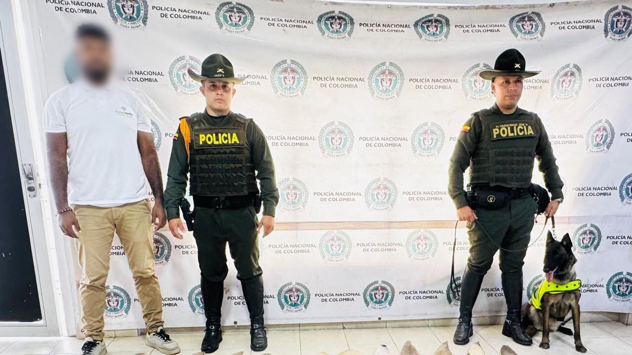 Aletas halladas en Tumaco venían desde La Guajira