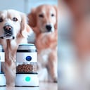 Los dispensadores de comida inteligentes se han convertido en un dispositivo muy popular para los dueños de mascotas.