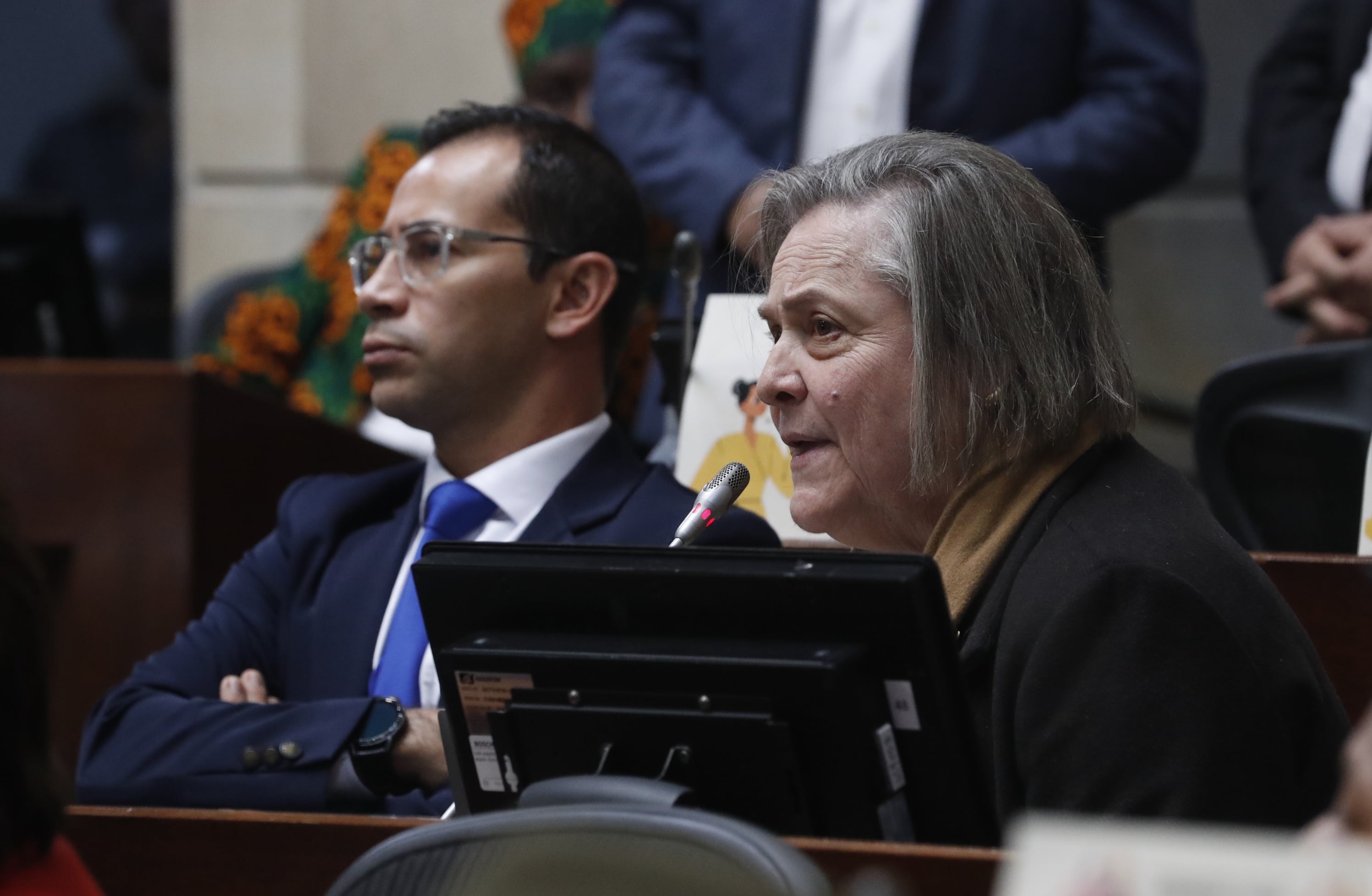 Senado de la República plenaria discusión Plan Nacional de Desarrollo